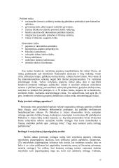 Kapitalo rinka 13 puslapis