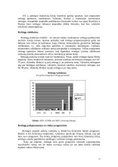 Kapitalo rinka 15 puslapis