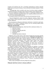 Kapitalo rinka 8 puslapis