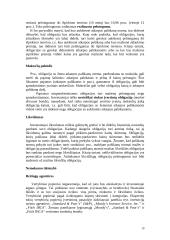 Kapitalo rinka 10 puslapis