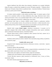 Kaukolė ir galvos griaučiai 11 puslapis