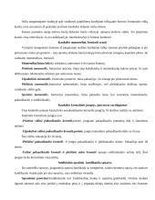 Kaukolė ir galvos griaučiai 12 puslapis