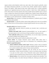 Kaukolė ir galvos griaučiai 13 puslapis