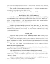 Kaukolė ir galvos griaučiai 16 puslapis