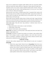 Kaukolė ir galvos griaučiai 4 puslapis