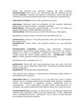 Kino filosofija 15 puslapis