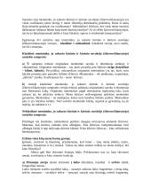 Kino filosofija 3 puslapis