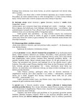 Kino filosofija 4 puslapis