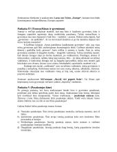 Kino filosofija 8 puslapis