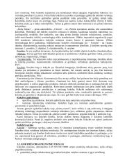 Kokybės analizė ir valdymas 2 puslapis