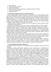 Kokybės analizė ir valdymas 4 puslapis