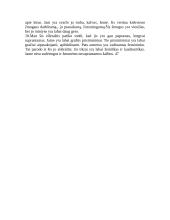 Vytauto Mačernio „Vizijos” įžangos analizė 2 puslapis