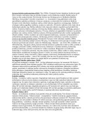 Kokybės vadybos pasiruošimas egzaminui 4 puslapis