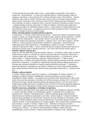 Kokybės vadybos pasiruošimas egzaminui 6 puslapis
