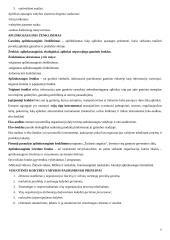 Kokybės vadyba: standartizacija, ženklinimas 13 puslapis