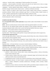 Kokybės vadyba: standartizacija, ženklinimas 4 puslapis
