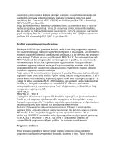 Kompiuterinė sistema 11 puslapis