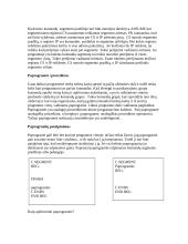 Kompiuterinė sistema 13 puslapis