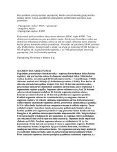 Kompiuterinė sistema 14 puslapis