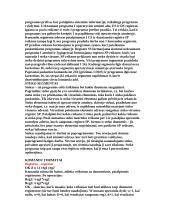 Kompiuterinė sistema 15 puslapis