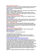 Kompiuterinė sistema 17 puslapis