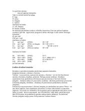 Kompiuterinė sistema 19 puslapis