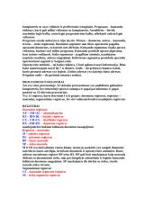 Kompiuterinė sistema 3 puslapis