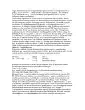 Kompiuterinė sistema 7 puslapis