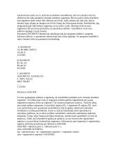 Kompiuterinė sistema 9 puslapis