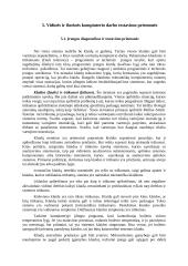 Kompiuterio testavimo ir aptarnavimo programos 19 puslapis