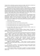 Kompiuterio testavimo ir aptarnavimo programos 20 puslapis