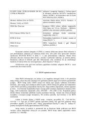 Kompiuterio testavimo ir aptarnavimo programos 4 puslapis