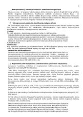 Pasiruošimas kompiuterių architektūros egzaminui 2 puslapis