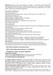 Pasiruošimas kompiuterių architektūros egzaminui 12 puslapis