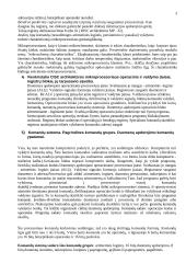 Pasiruošimas kompiuterių architektūros egzaminui 3 puslapis