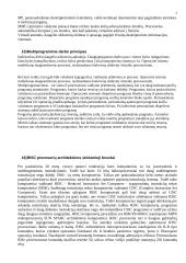 Pasiruošimas kompiuterių architektūros egzaminui 7 puslapis