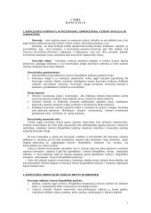 Koncesijos samprata