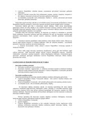 Koncesijos samprata 2 puslapis