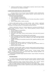 Koncesijos samprata 3 puslapis