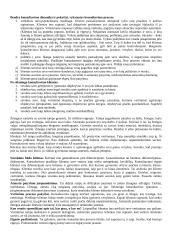 Konsultavimas socialiniame darbe