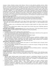 Konsultavimas socialiniame darbe 4 puslapis