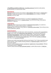 Kraujas ir limfa 4 puslapis