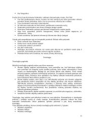 Kriminalistikos principai 13 puslapis