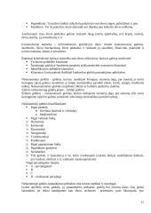 Kriminalistikos principai 17 puslapis