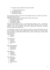 Kriminalistikos principai 3 puslapis