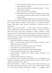 Kultūros vadybos samprata ir specifika 2 puslapis