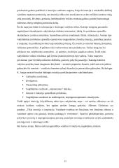 Kultūros vadybos samprata ir specifika 11 puslapis