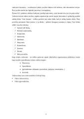 Kultūros vadybos samprata ir specifika 5 puslapis