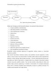 Kultūros vadybos samprata ir specifika 6 puslapis