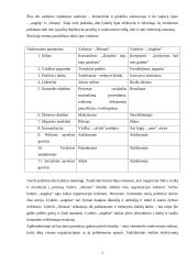 Kultūros vadybos samprata ir specifika 7 puslapis